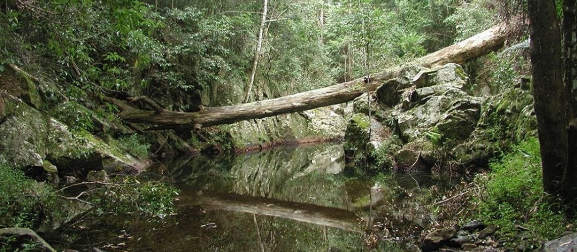 Maleny, Queensland